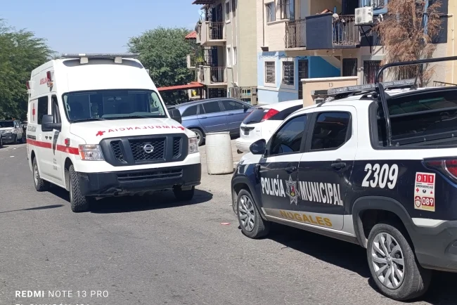 Reportan ataque de perro a menor en Nogales; madre descarta denuncia
