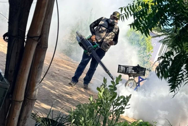 Refuerzan combate al mosquito en 25 municipios con mayor cobertura en diez años