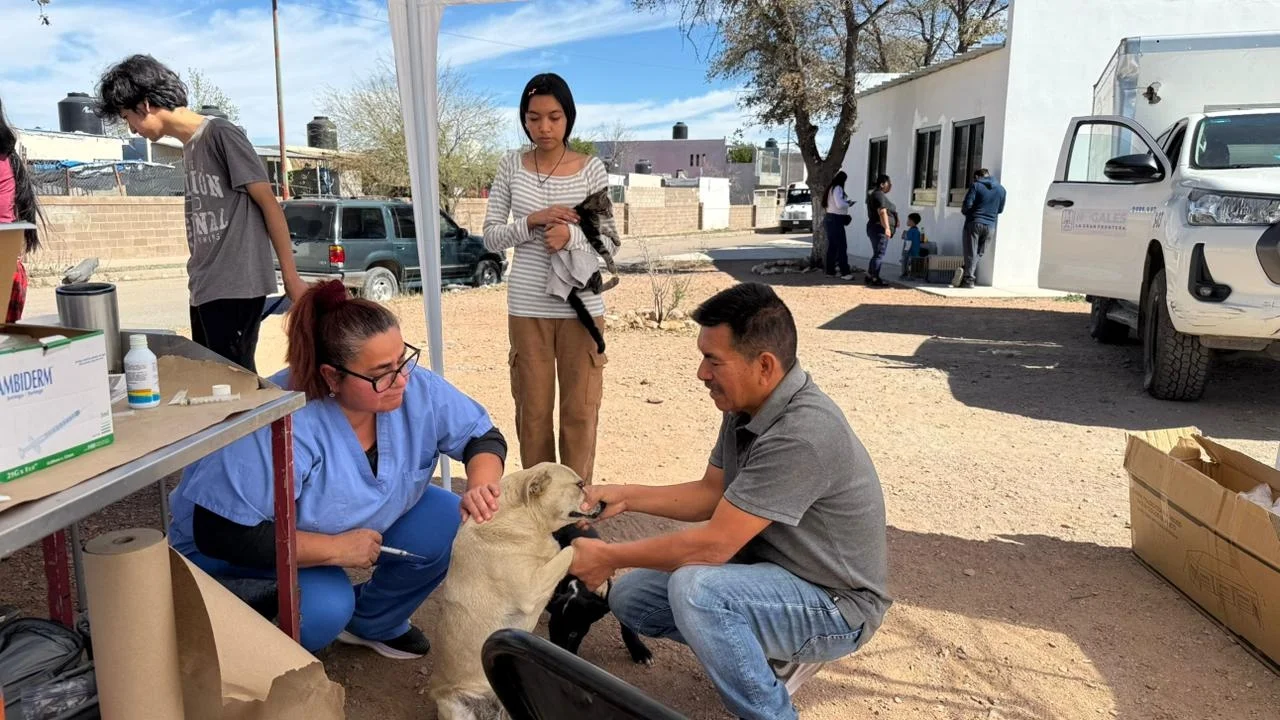 Refuerzan acciones de bienestar animal con campaña en La Mesa