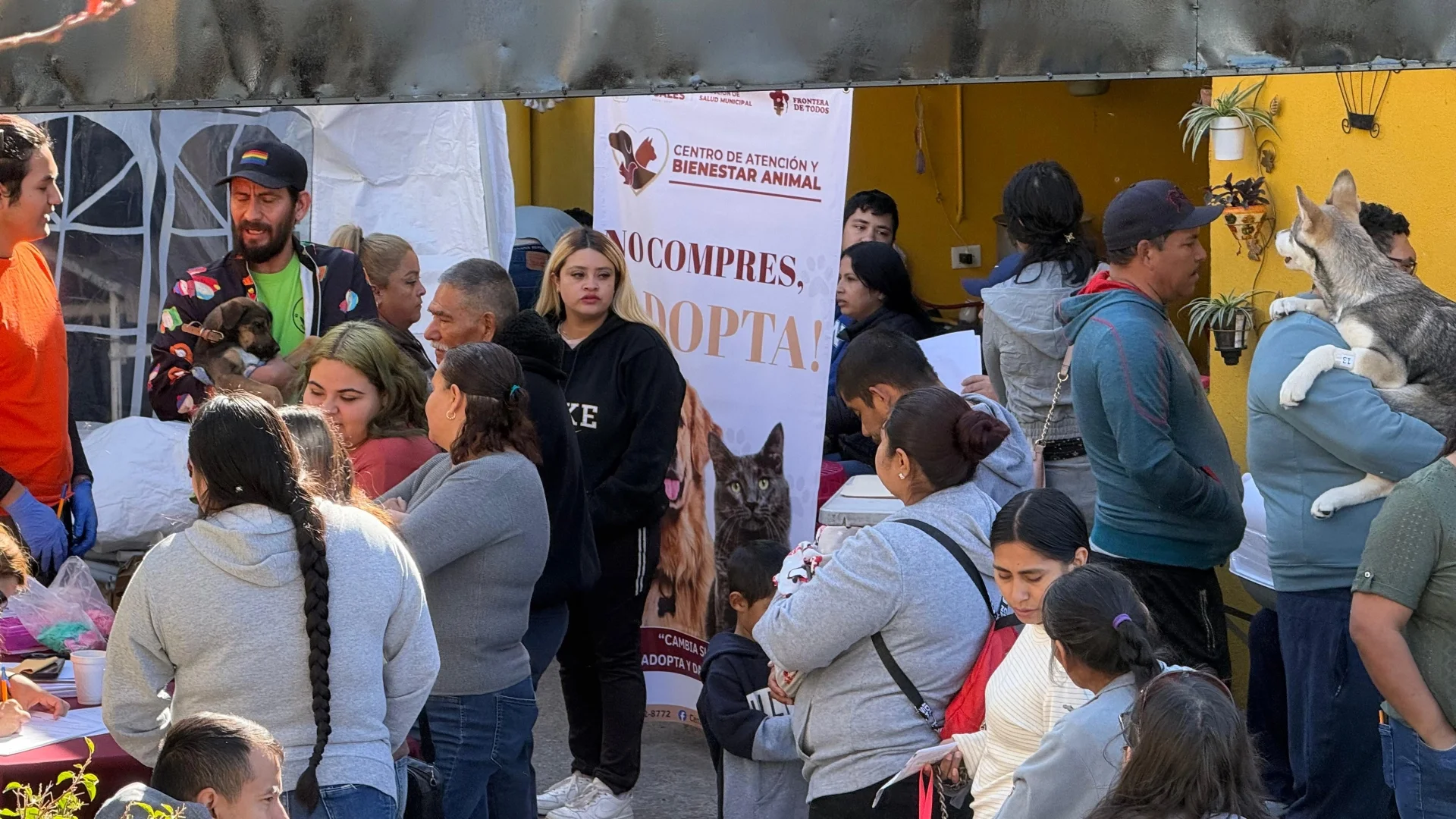 Promueven tenencia responsable con jornada de bienestar animal en Nogales