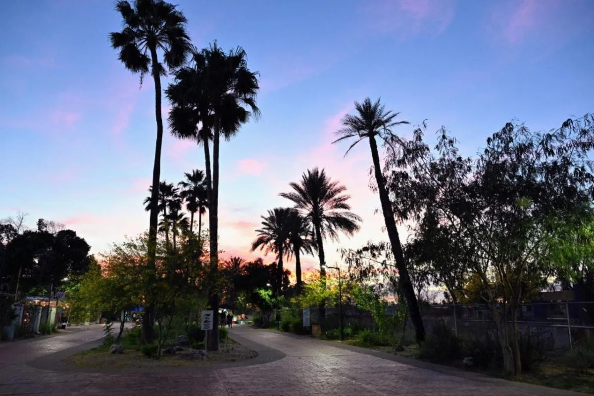 Celebran primer aniversario de La Sauceda con inversión histórica y festival