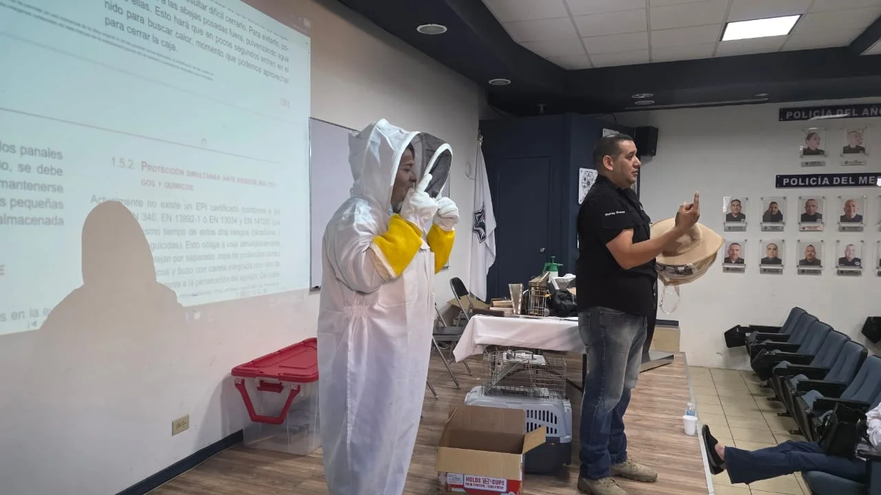 Impulsan en Nogales proyecto para proteger abejas y atender fauna silvestre