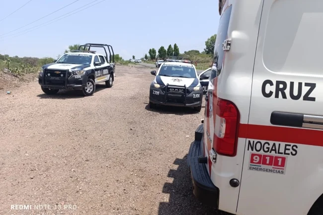Recuperan auto robado y decomisan pistola en parque recreativo