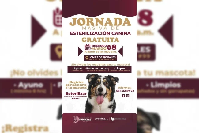Promueven tenencia responsable con campañas de esterilización canina