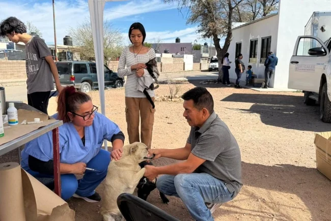 Refuerzan acciones de bienestar animal con campaña en La Mesa