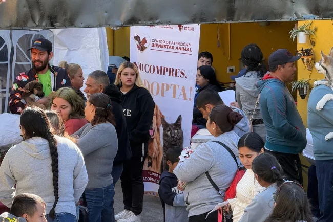 Promueven tenencia responsable con jornada de bienestar animal en Nogales