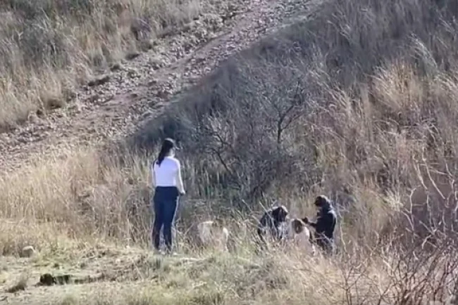 Buscadoras hallan cuerpo enterrado en Nogales y piden apoyo de autoridades