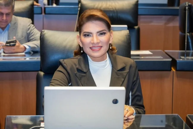 Senado analiza propuesta de reforma con enfoque en austeridad electoral