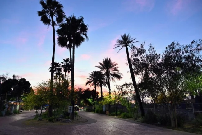 Celebran primer aniversario de La Sauceda con inversión histórica y festival