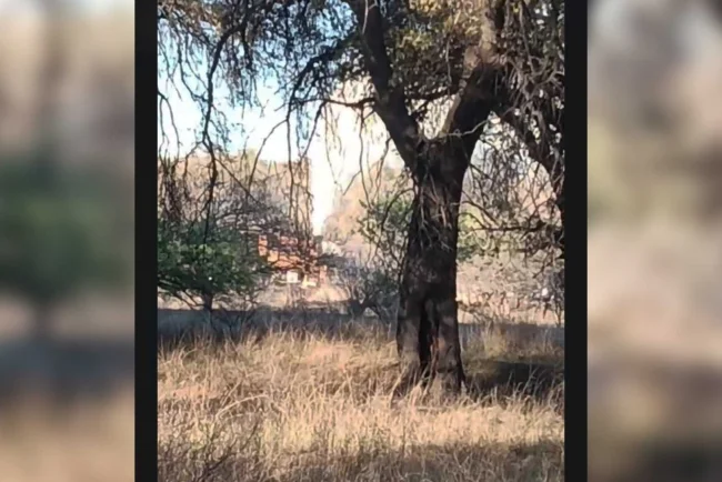 Advierten acciones contra focos de contaminación en Nogales