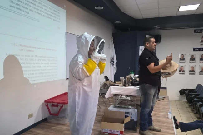 Impulsan en Nogales proyecto para proteger abejas y atender fauna silvestre