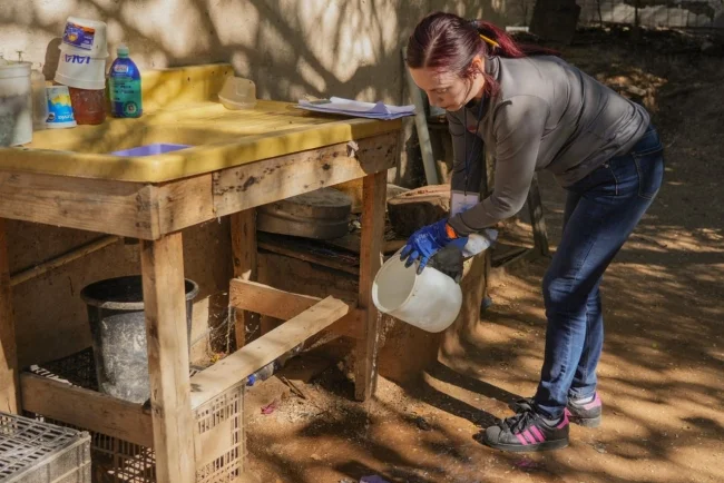 Refuerzan acciones preventivas contra el dengue en Sonora