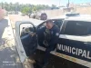 Denuncian foco de infección por perros abandonados en Nogales