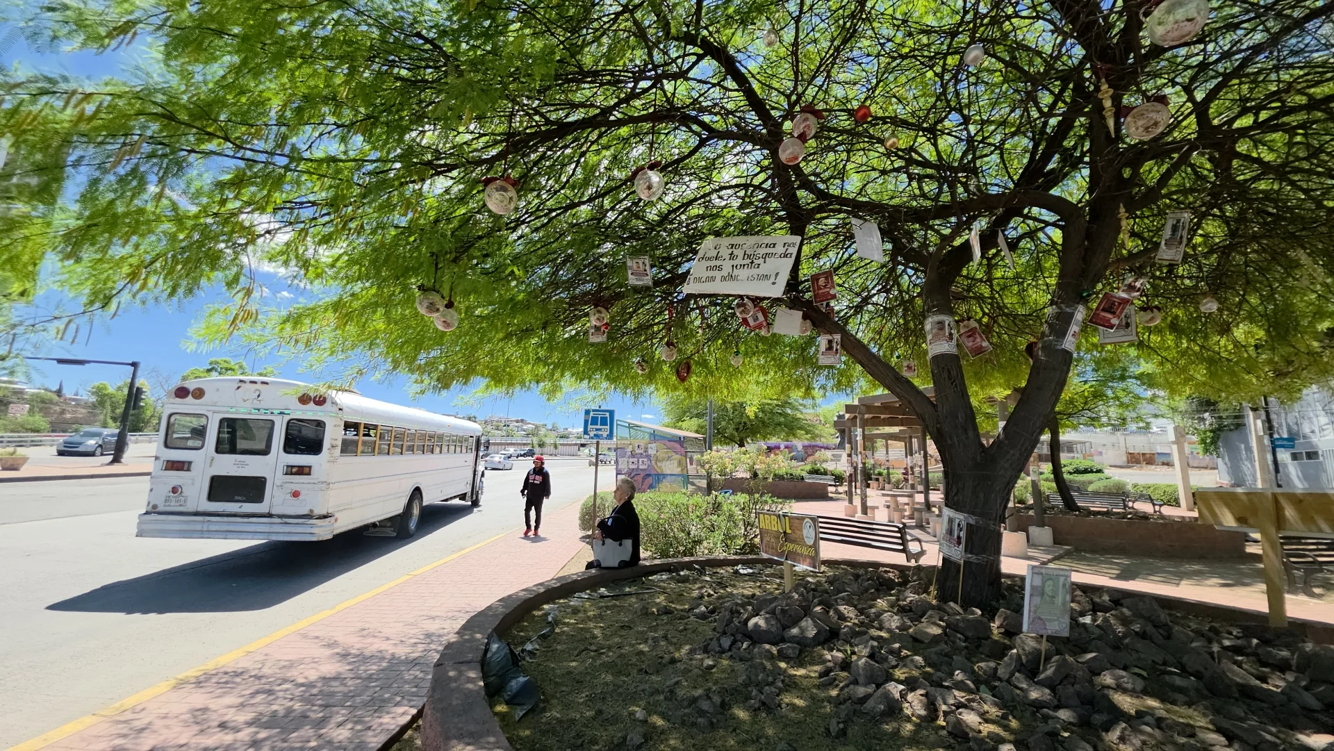 Rostros que no se olvidan: el Árbol de la Esperanza en Nogales