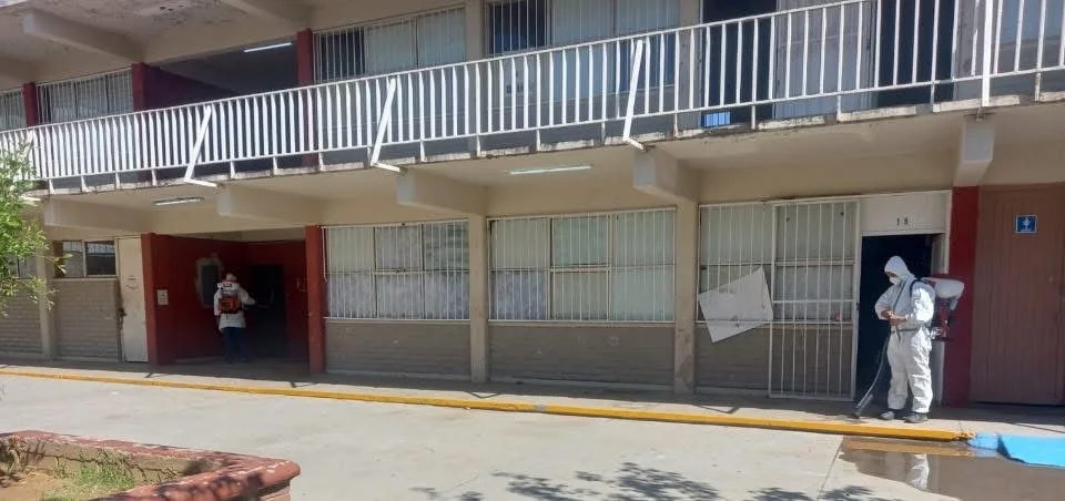 Intensifican combate a plagas en colonias de Nogales