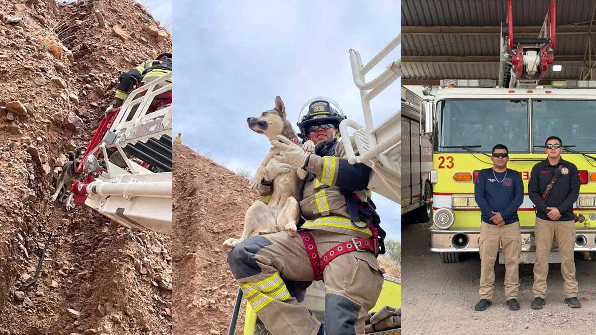 Bomberos salvan a can en riesgo tras quedar atrapado en cerro