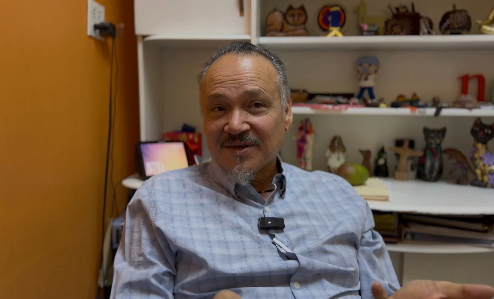 Advierten que crisis de perros y gatos en Nogales rebasa esfuerzos oficiales