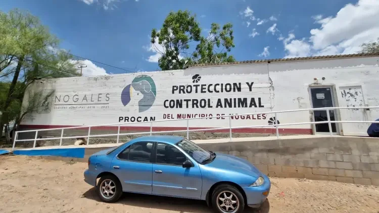 Destacan impacto de campañas veterinarias en salud pública y control animal