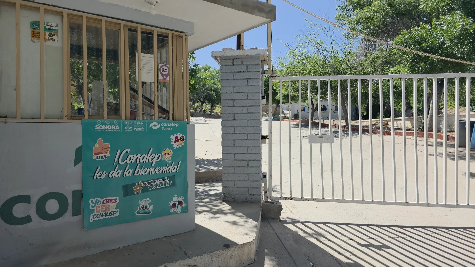 Investigan intoxicación de alumna por comestible con cannabis en Conalep