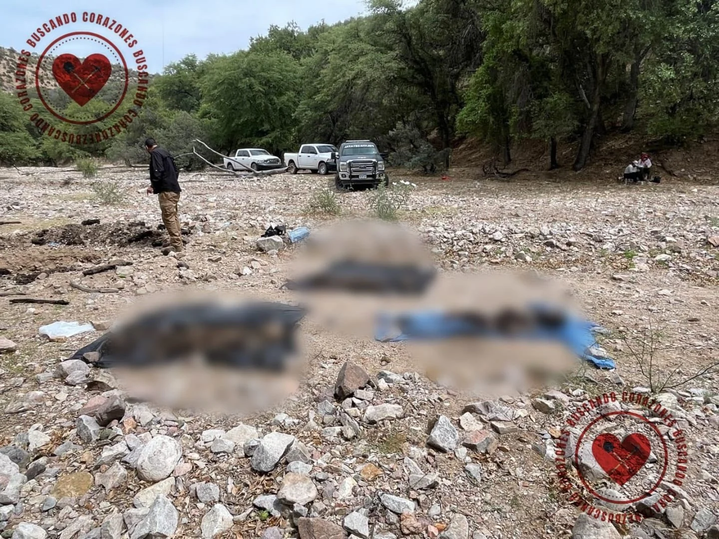 Hallan restos humanos en dos zonas de Nogales durante jornadas de búsqueda