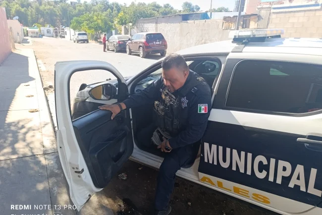 Citan a dueño de perro tras agresión a vecino en Nogales