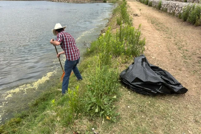 Impulsan recuperación de espacios públicos con limpieza en El Represo