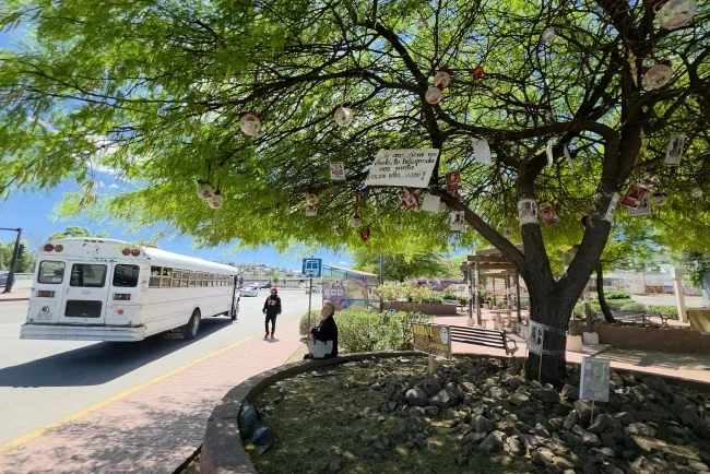 Rostros que no se olvidan: el Árbol de la Esperanza en Nogales