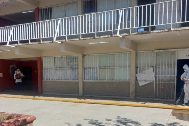 Intensifican combate a plagas en colonias de Nogales