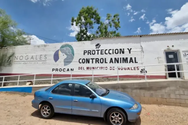 Destacan impacto de campañas veterinarias en salud pública y control animal