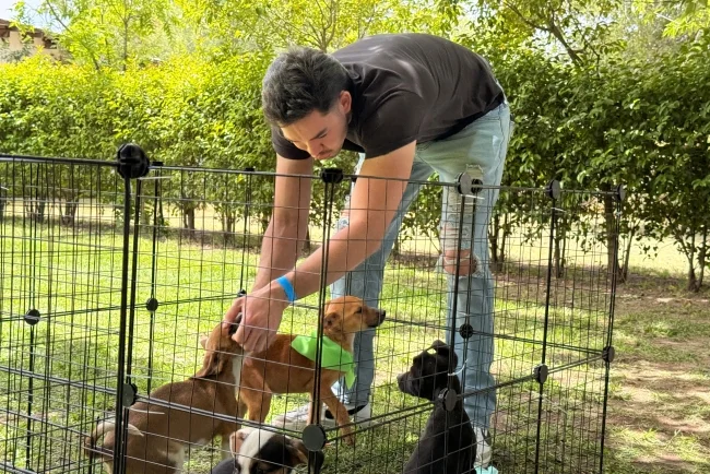 Impulsan bienestar animal con servicios gratuitos en Nogales