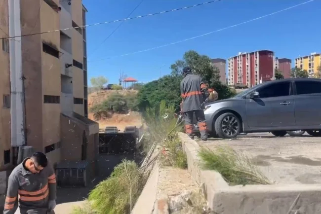 Impulsan limpieza y recuperación de espacios en colonias de Nogales