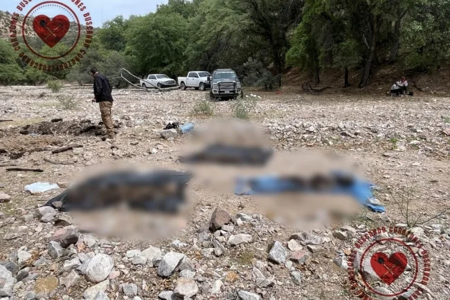 Hallan restos humanos en dos zonas de Nogales durante jornadas de búsqueda