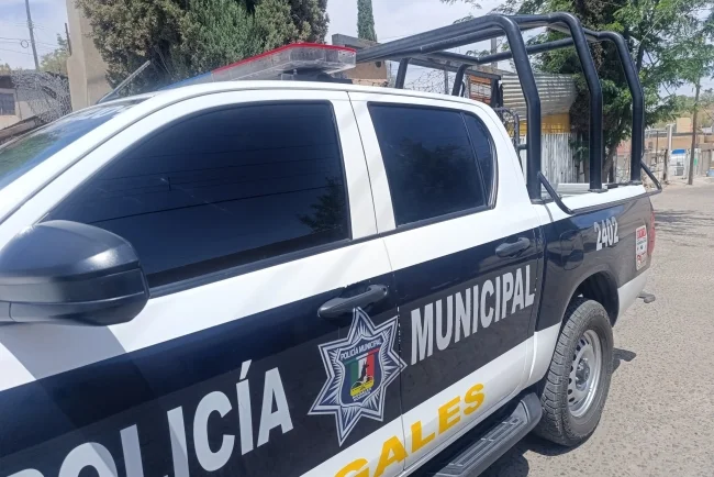 Reportan robos en primaria y kínder de Nogales; aumentan afectaciones a planteles