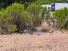 Investigan hallazgo de dos personas sin vida en distintos sectores de Nogales