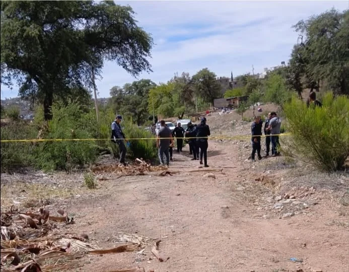 Hallan cuatro cuerpos en predio despoblado de Nogales