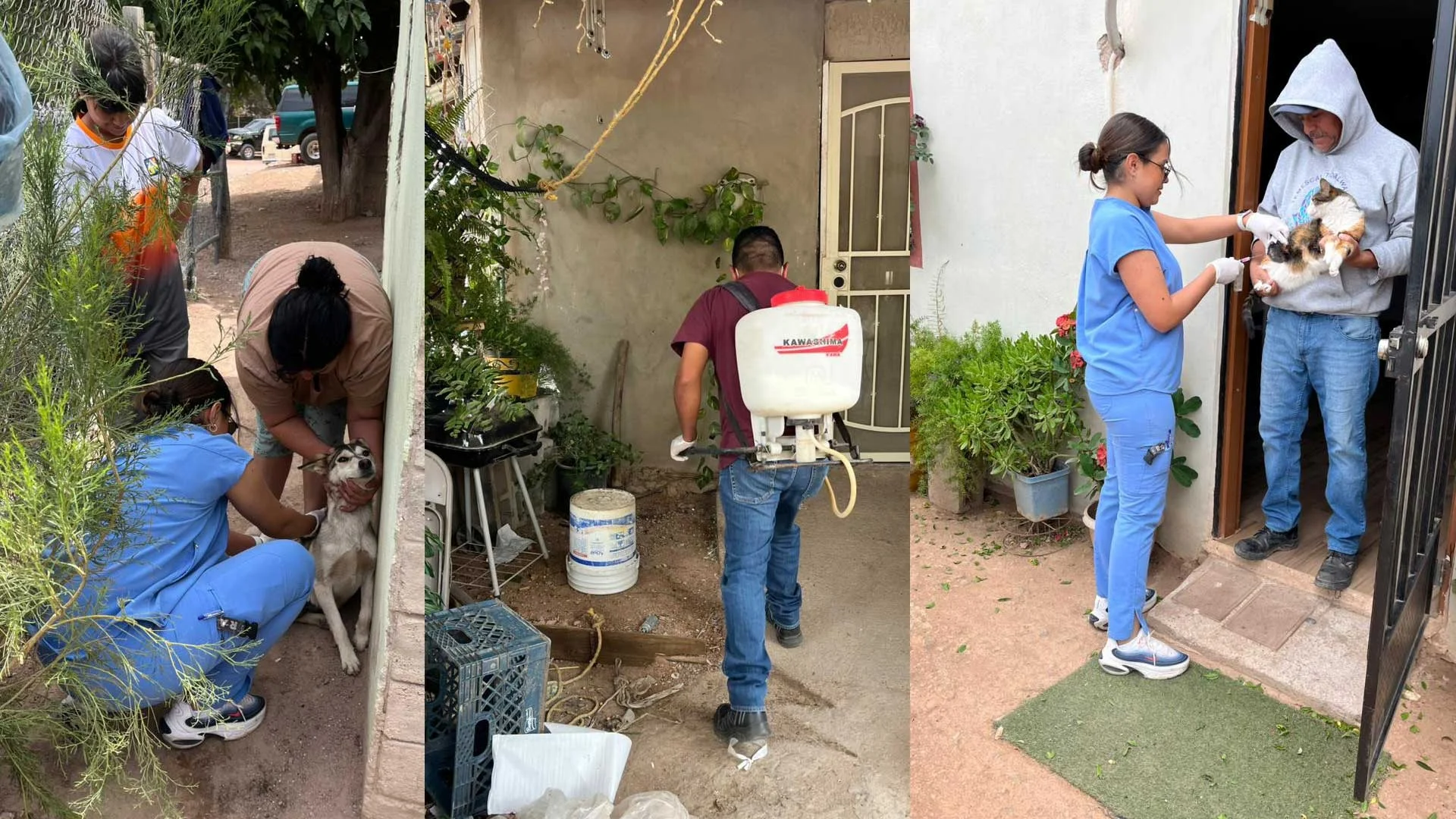 Llevan vacunación y bienestar animal a la colonia Colosio