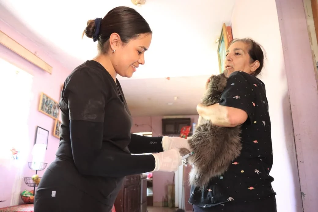 Llevan servicios veterinarios y fumigación a familias vulnerables de Nogales