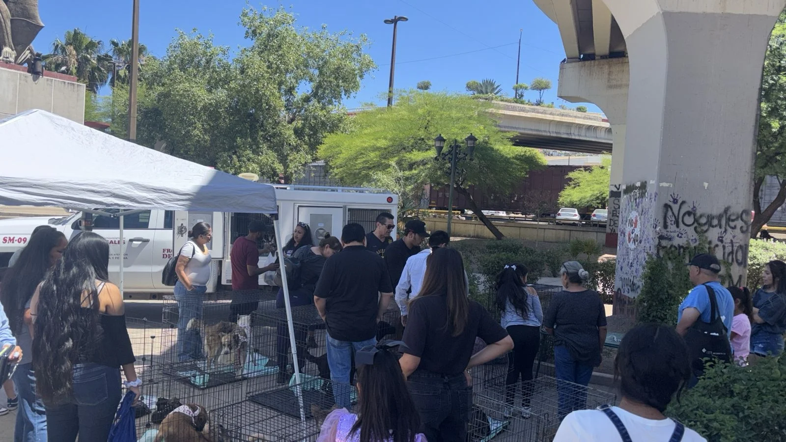 Familias nogalenses responden al llamado del Adoptatón impulsado por el Gobierno Municipal
