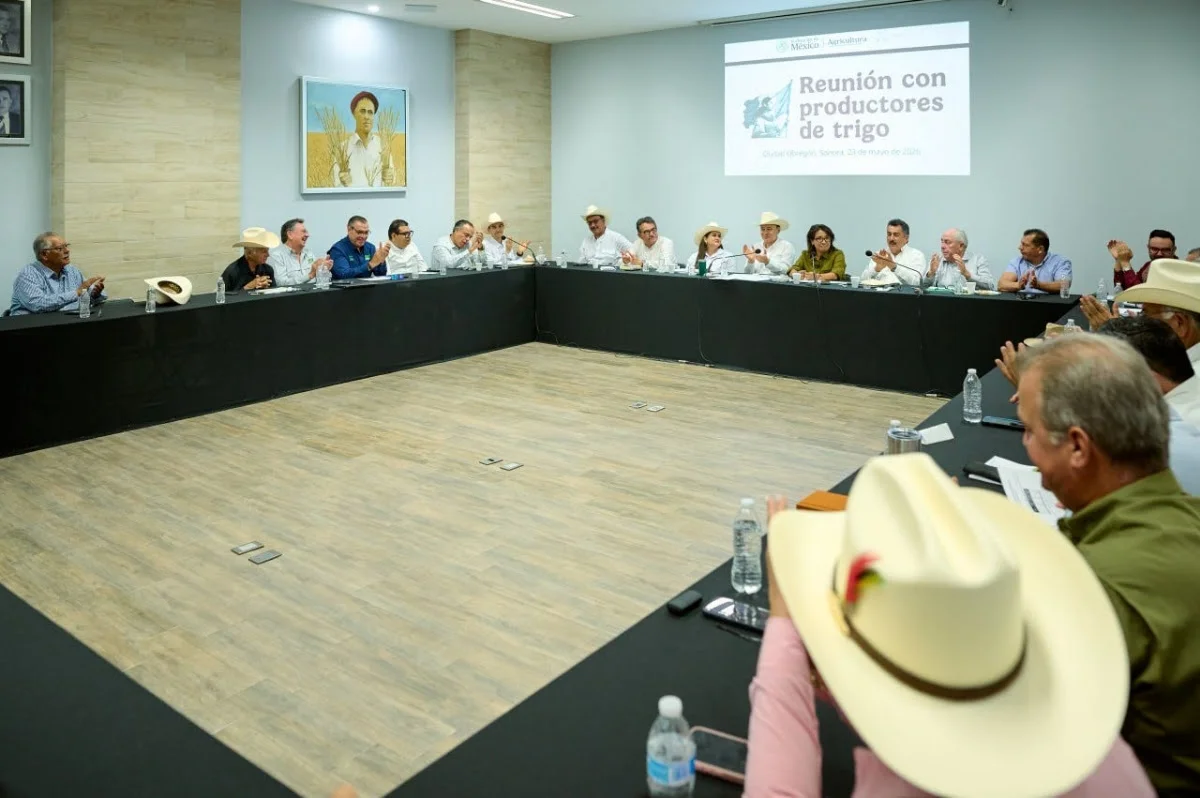 Avanza Sonora en cultivos alternativos para enfrentar sequía y fortalecer producción agrícola