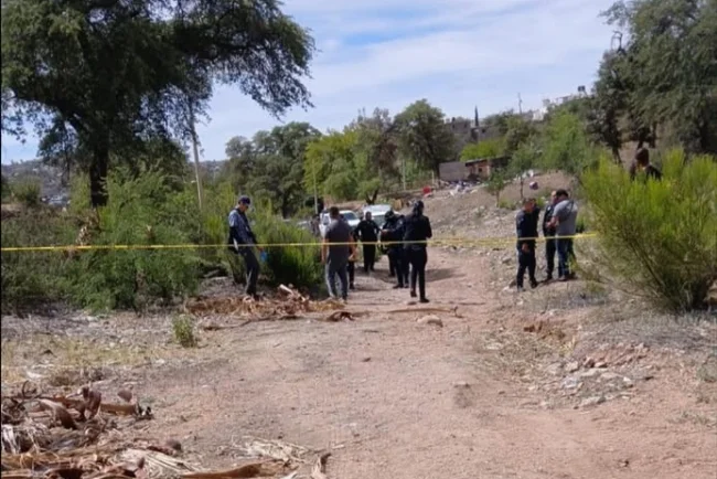 Hallan cuatro cuerpos en predio despoblado de Nogales