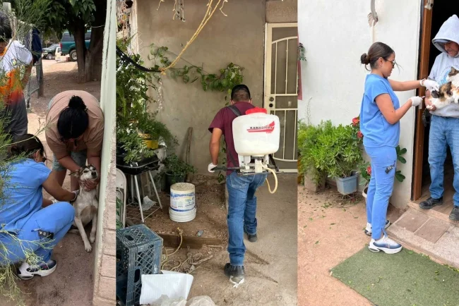 Llevan vacunación y bienestar animal a la colonia Colosio