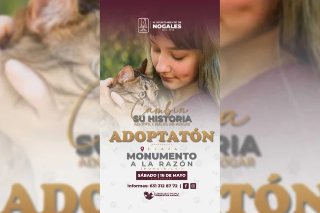 Buscan hogar para 20 perros en jornada de adopción en Plaza Benito Juárez