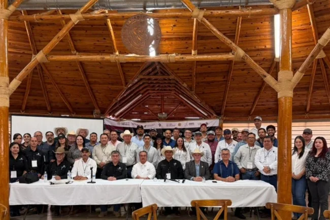 Refuerzan en Sonora medidas sanitarias para evitar ingreso del gusano barrenador