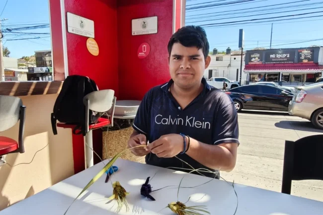 De pasatiempo a oficio: joven nogalense crea colibríes de palma y conquista clientes en Nogales
