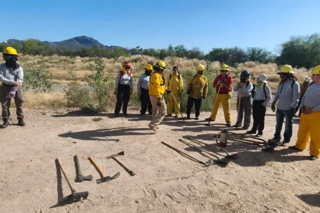 Bomberos refuerzan vigilancia ante inicio de temporada de incendios forestales