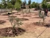 Avanza estrategia ambiental en Nogales; crean nuevas áreas verdes en Villa Sonora