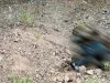 Investigan hallazgo de cadáver con signos de violencia cerca del rancho El Embudo