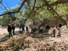 Colectivo insiste en rastreos y reivindica valor de denuncias anónimas en caso Nancy Guthrie
