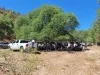 Refuerzan búsqueda de Nancy Guthrie con operativo binacional y apoyo ciudadano en Nogales