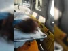 Motociclista se identifica tras atropellamiento en Nogales